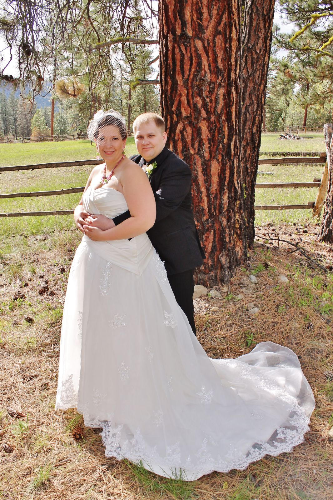Bride and groom embracing beneath tall Montana pines